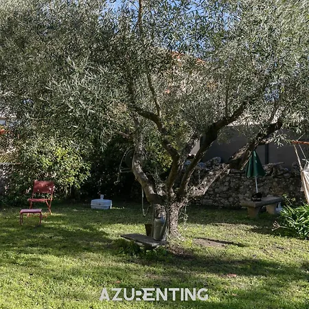 Azurenting - Bastide Oliva - 1 - Balcon Apartamento Cannes