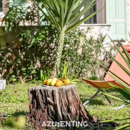 Azurenting - Bastide Oliva - 1 - Balcon * Cannes