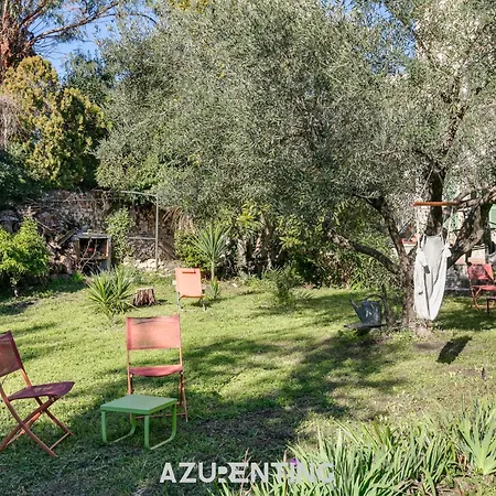 Azurenting - Bastide Oliva - 1 - Balcon * Cannes